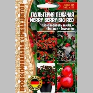 Гаультерия Merry Berry Big Red (большой пакет) - Семена Тут