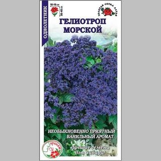 Гелиотроп Морской - Семена Тут