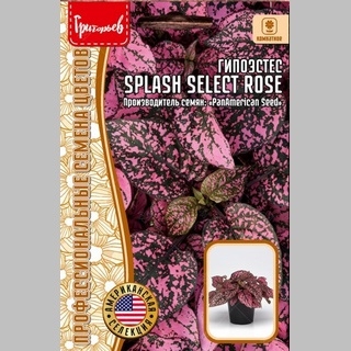 Гипоэстес Splash Select Rose (большой пакет) - Семена Тут