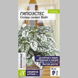 Гипоэстес Сплеш селект Вайт - Семена Тут