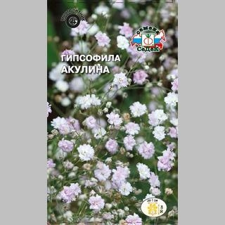 Гипсофила Акулина (тихоокеанская) - Семена Тут