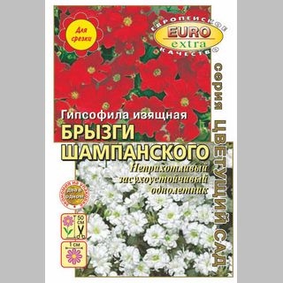 Гипсофила Брызги шампанского (Эконом) - Семена Тут