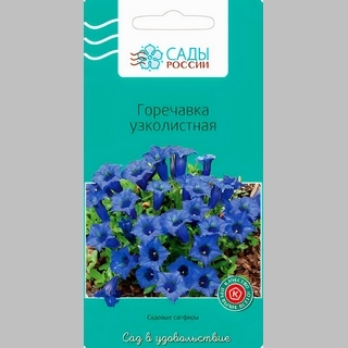 Горечавка Узколистная - Семена Тут