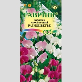 Чина (горошек душистый) Разноцветье смесь многолетний - Семена Тут