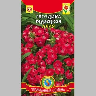 Гвоздика Алая (турецкая) - Семена Тут