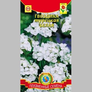Гвоздика Белая (турецкая) - Семена Тут