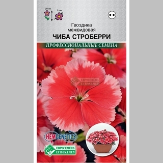 Гвоздика Чиба F1 Строберри (межвидовая) - Семена Тут