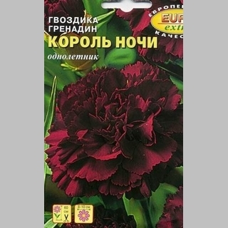 Гвоздика Король ночи (Гренадин) - Семена Тут