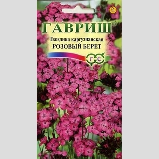 Гвоздика Розовый берет (картузианская) - Семена Тут