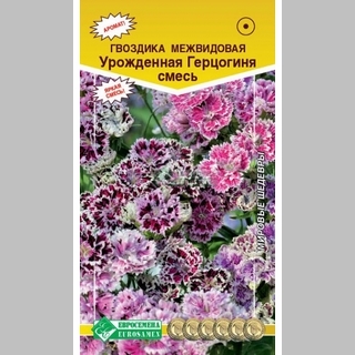 Гвоздика Урожденная Герцогиня смесь (межвидовая) - Семена Тут