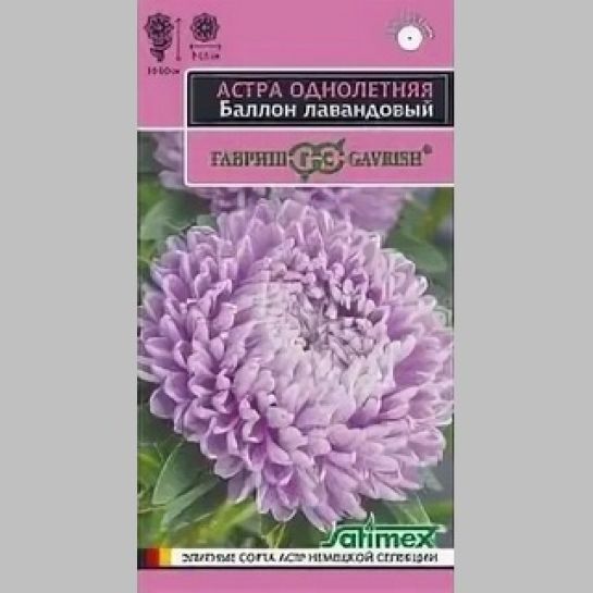 Астра Баллон лавандовый