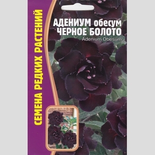 Адениум Черное Болото (тучный) (большой пакет) - Семена Тут