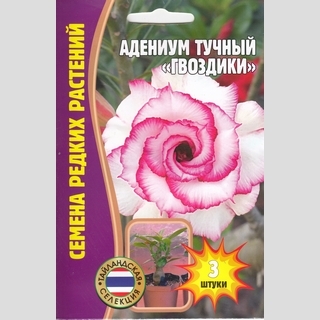 Адениум Гвоздики (тучный) (большой пакет) - Семена Тут