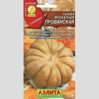 Тыква Мускатная Прованская - Семена Тут