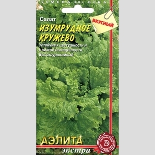 Салат Изумрудное кружево - Семена Тут