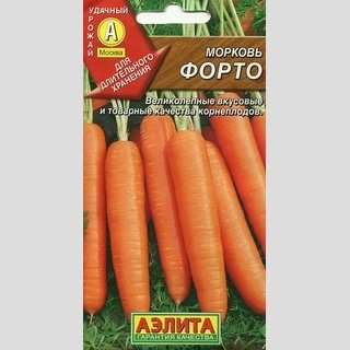 Морковь Форто - Семена Тут