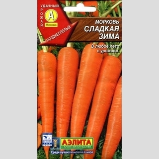 Морковь Сладкая зима - Семена Тут