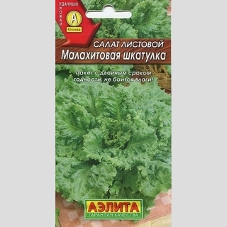 Салат Малахитовая шкатулка (листовой) - Семена Тут