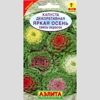 Капуста Яркая осень смесь (декоративная) - Семена Тут