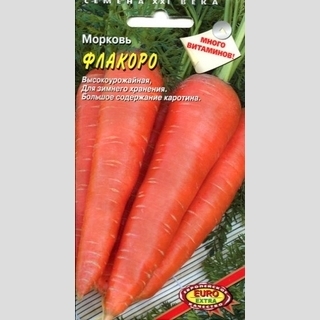 Морковь Флакоро - Семена Тут