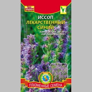 Иссоп Синий - Семена Тут
