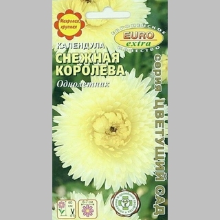 Календула Снежная королева - Семена Тут