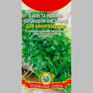 Капуста Раппини для микрозелени (брокколи листовая) - Семена Тут