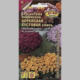 Хризантема Индийская Корейская кустовая - Семена Тут