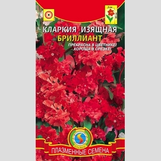 Кларкия Бриллиант (изящная) - Семена Тут