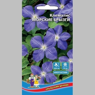 Клематис Морские брызги - Семена Тут