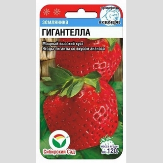Земляника Гигантелла - Семена Тут
