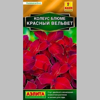 Колеус Визард Красный вельвет - Семена Тут