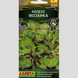 Колеус Визард Мозаика - Семена Тут