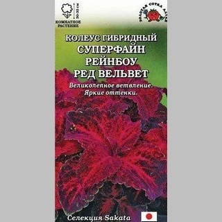 Колеус Суперфайн Рейнбоу Ред Вельвет - Семена Тут