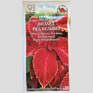 Колеус Визард Ред Вельвет - Семена Тут