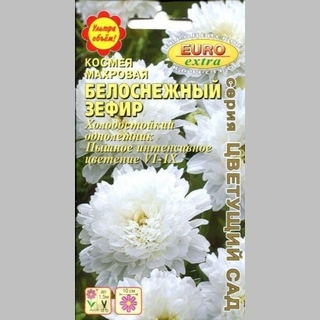 Космея Белоснежный зефир - Семена Тут