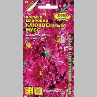 Космея Клюквенный мусс - Семена Тут