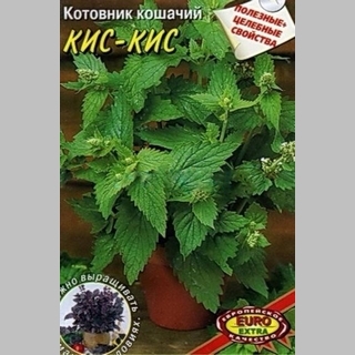 Котовник Кис-кис (Эконом) - Семена Тут