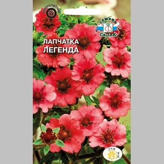 Лапчатка Легенда (непальская) - Семена Тут