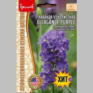 Лаванда Ellagance Purple узколистная компактная (большой пакет) - Семена Тут