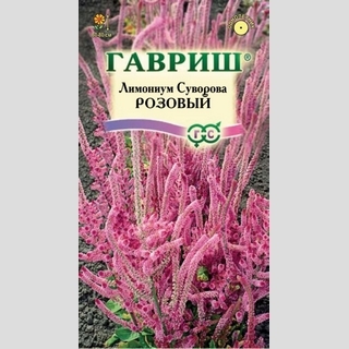 Лимониум Суворова розовый - Семена Тут