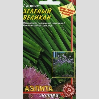 Лук Зеленый великан (шнитт) - Семена Тут