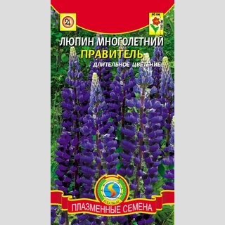 Люпин Правитель - Семена Тут