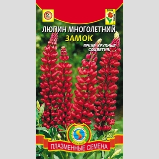 Люпин Замок - Семена Тут
