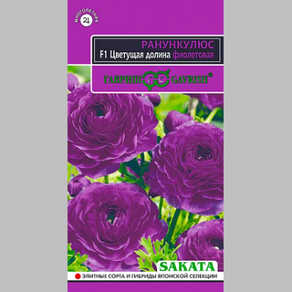 Лютик Цветущая долина фиолетовая F1 (Ранункулюс) - Семена Тут