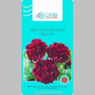 Мак Чёрный пионовидный - Семена Тут