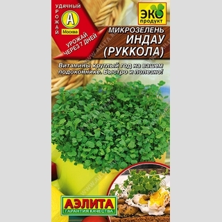 Микрозелень Руккола (индау) - Семена Тут
