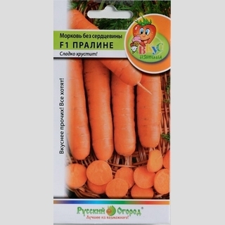 Морковь Без сердцевины Пралине (Вкуснятина) - Семена Тут