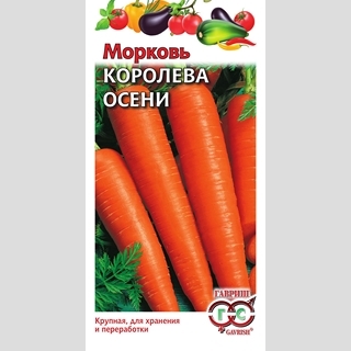 Морковь Королева Осени - Семена Тут