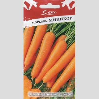 Морковь Миникор - Семена Тут